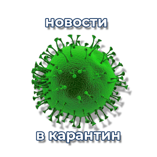 Заемные и кредитные обязательства в период карантина