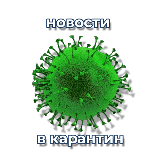 Перевёл деньги не на ту карту, ошибся номером (порядок действий, образец претензии, иска).