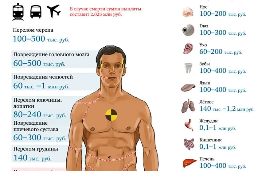 Сколько стоит человек